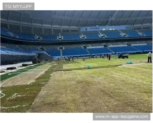 中超球场智能化改造，球迷体验大升级